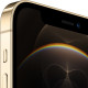 iPhone 12 Pro Max Dual Sim 128GB Gold (MGC23)